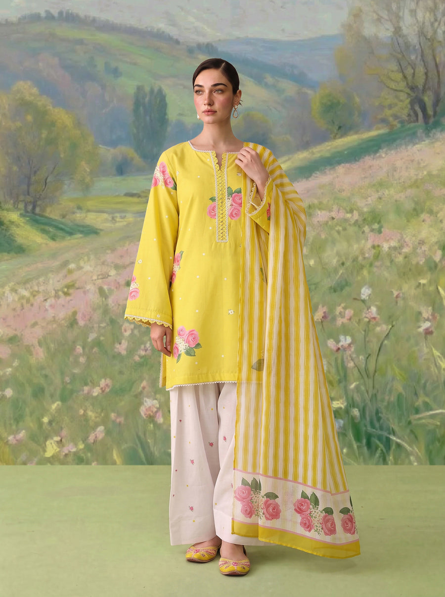 Yellow Daisy