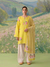 Yellow Daisy