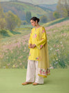 Yellow Daisy